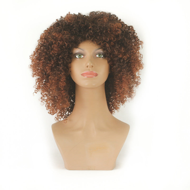 Dandara Synthetic Curly Wig