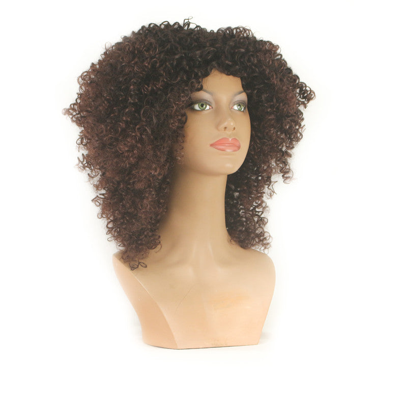 Dandara Synthetic Curly Wig