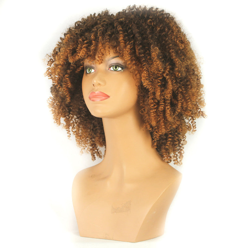 Dandara Synthetic Curly Wig