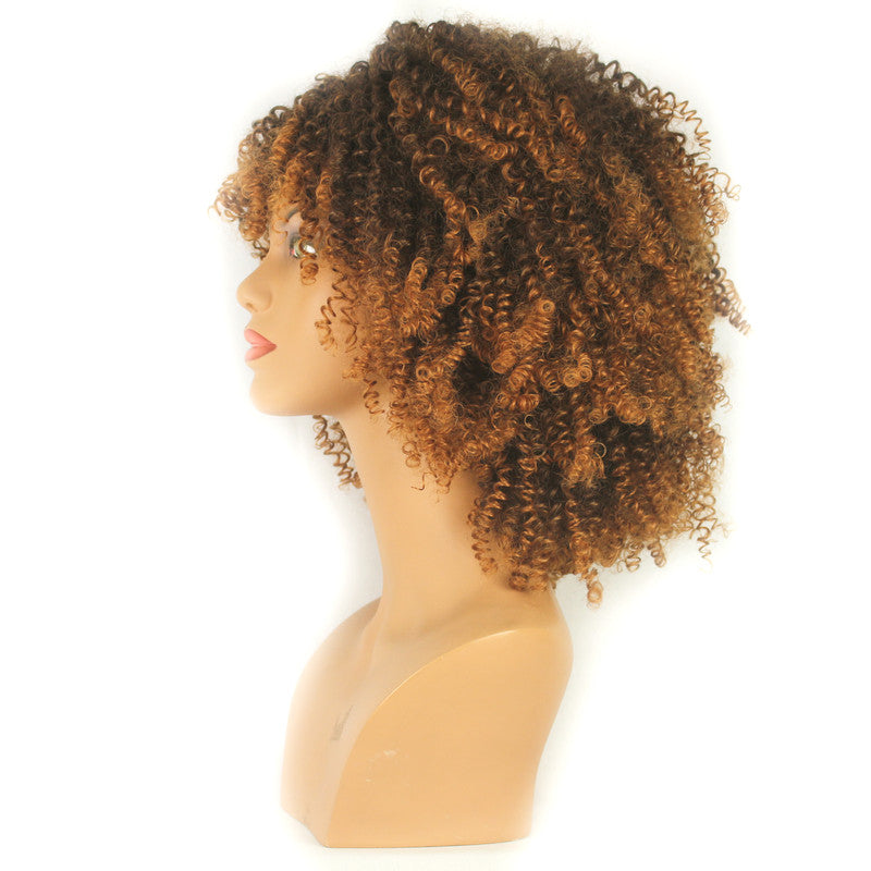 Dandara Synthetic Curly Wig