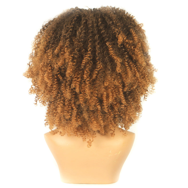 Dandara Synthetic Curly Wig