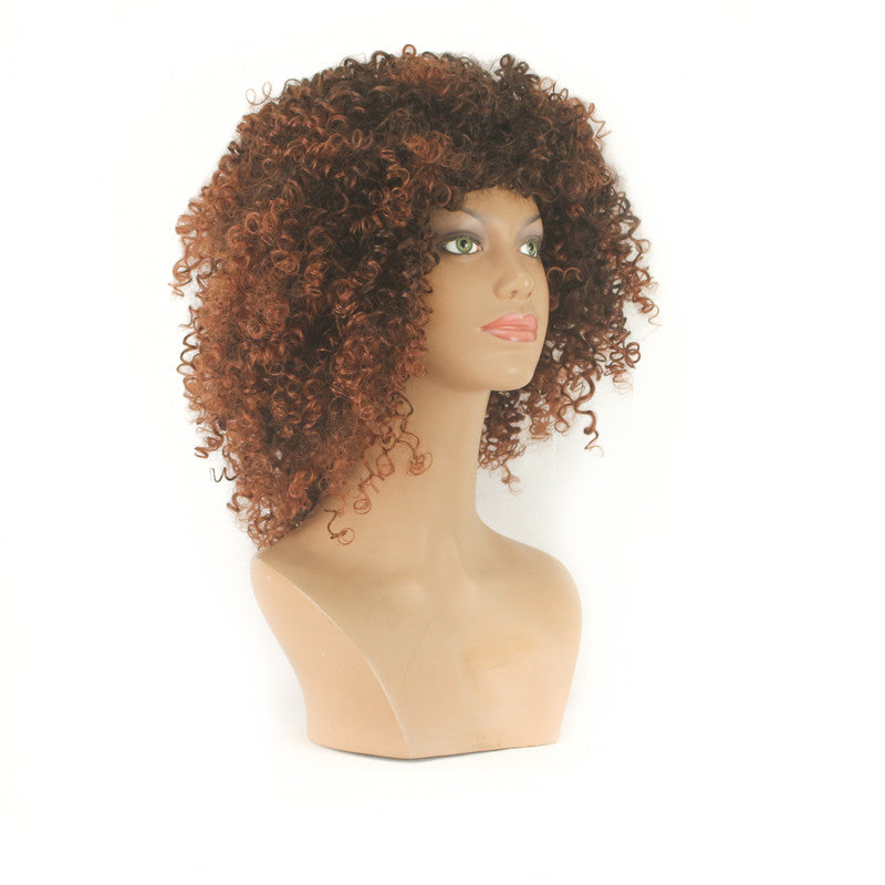 Dandara Synthetic Curly Wig