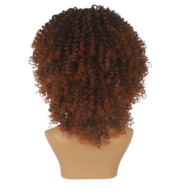 Dandara Synthetic Curly Wig