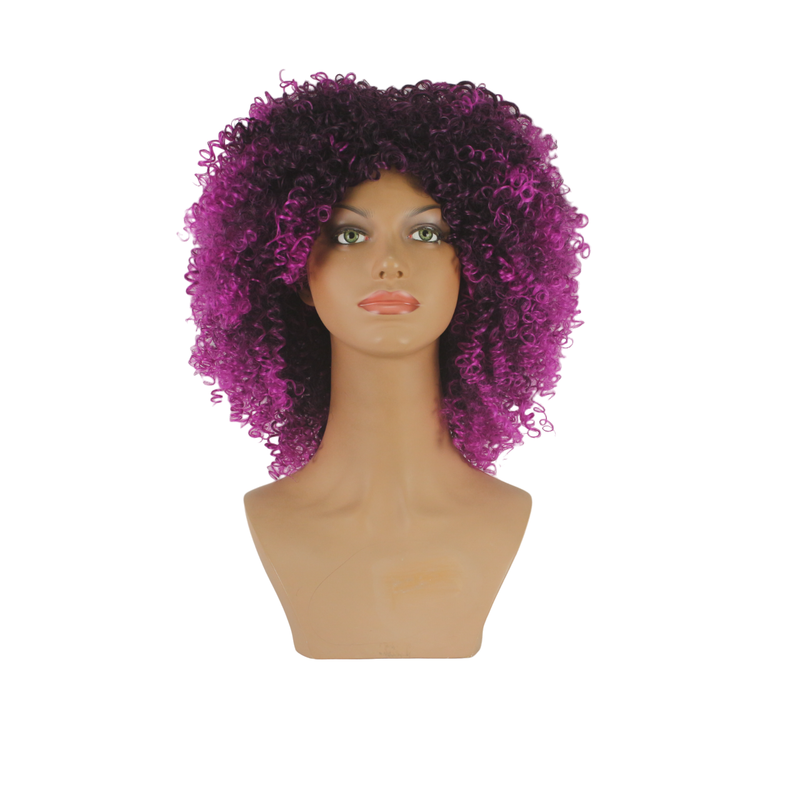 Dandara Synthetic Curly Wig