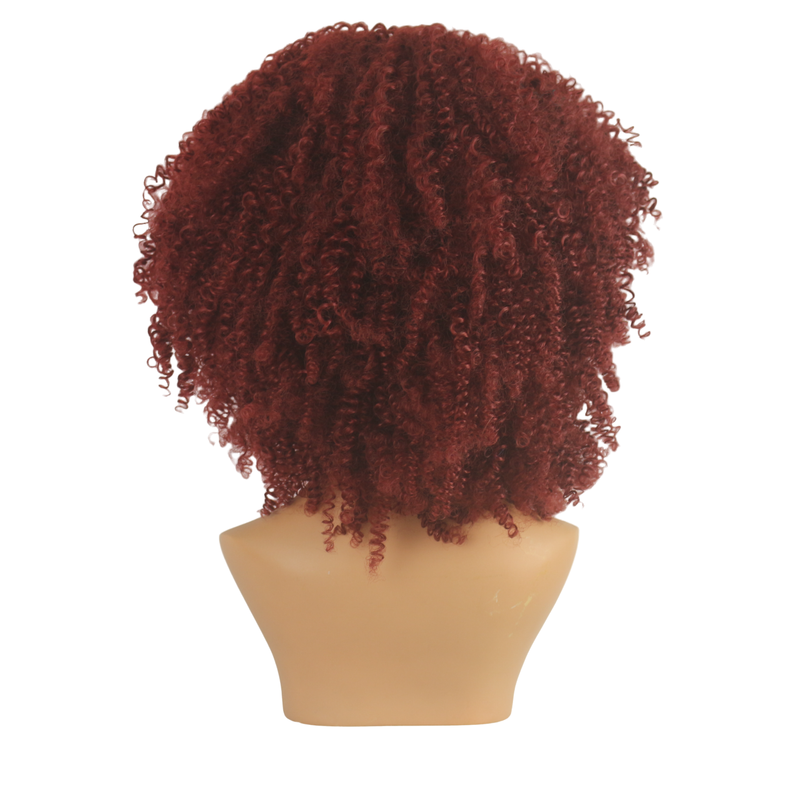 Dandara Synthetic Curly Wig