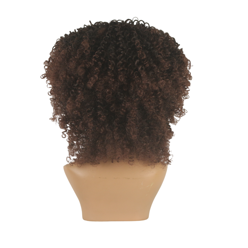 Dandara Synthetic Curly Wig