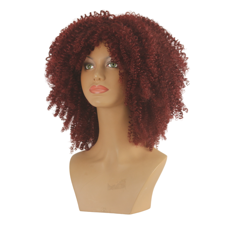 Dandara Synthetic Curly Wig