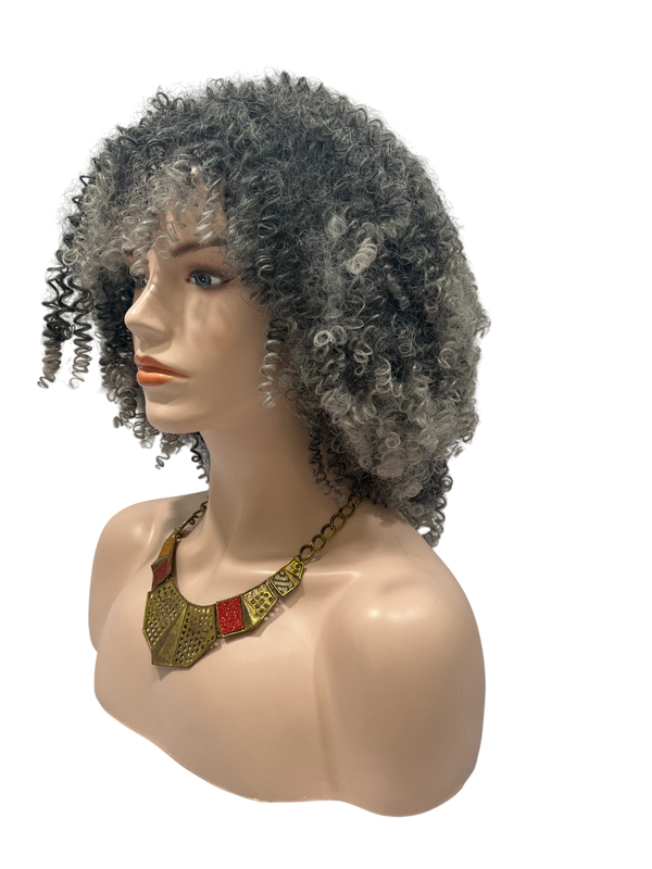 Dandara Synthetic Curly Wig