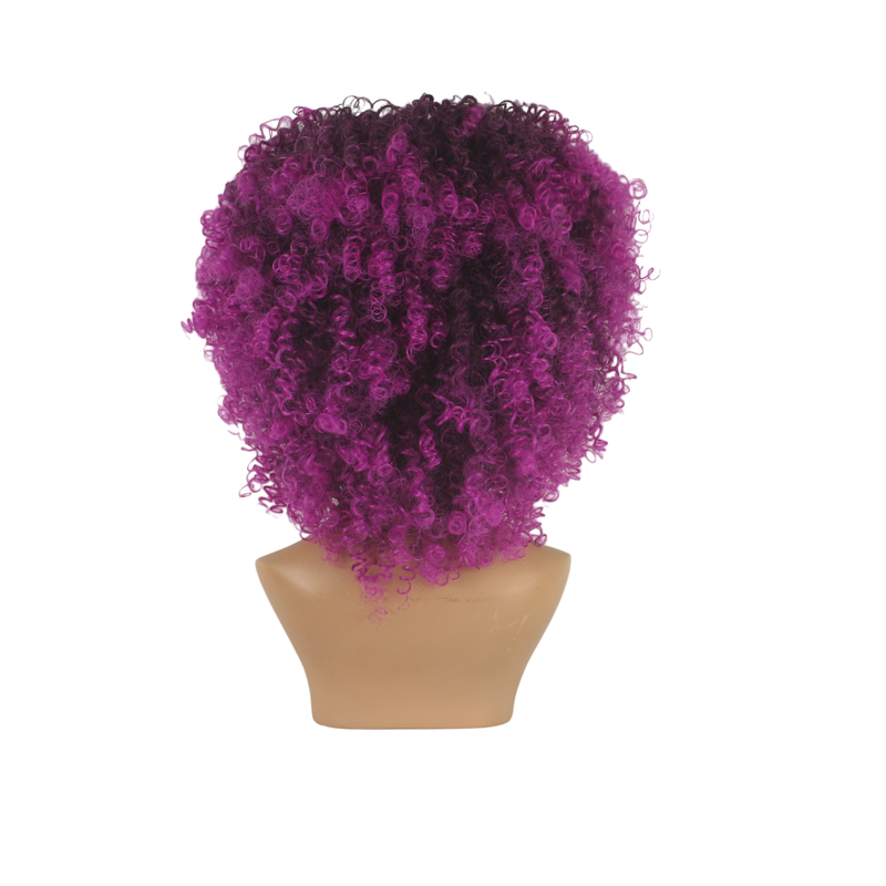 Dandara Synthetic Curly Wig