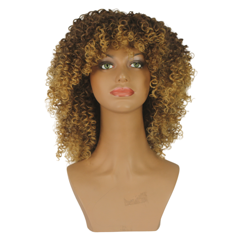 Dandara Synthetic Curly Wig