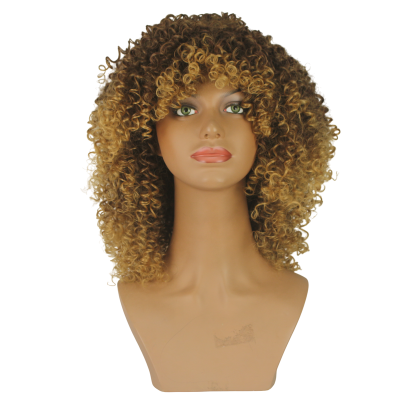 Dandara Synthetic Curly Wig