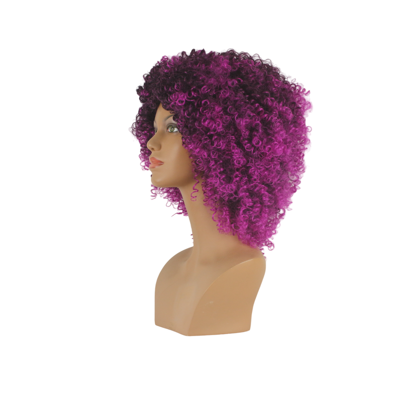 Dandara Synthetic Curly Wig