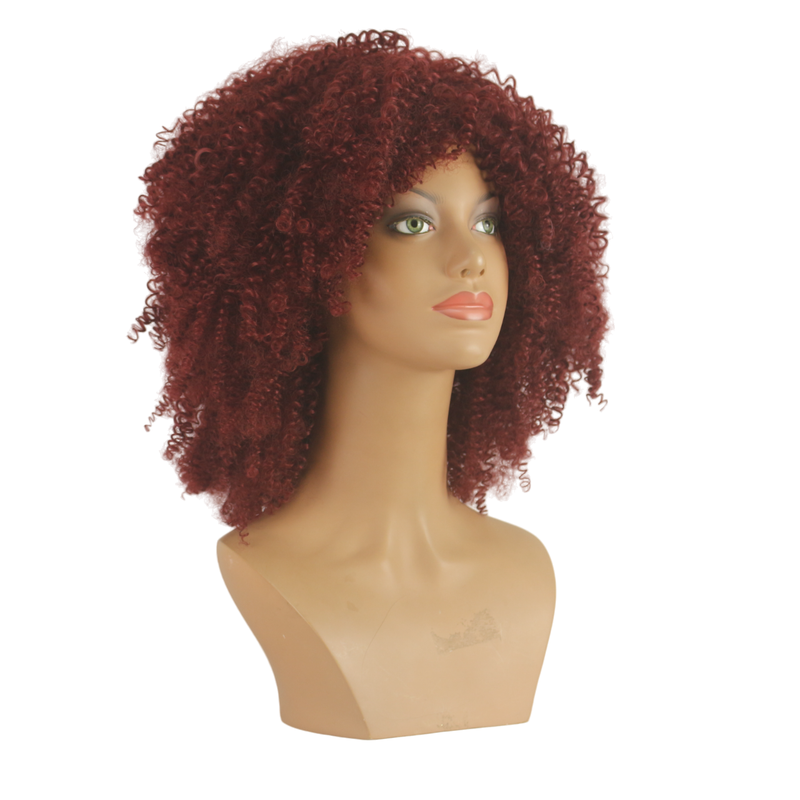 Dandara Synthetic Curly Wig