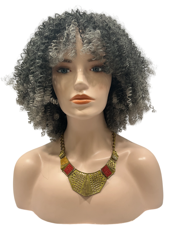 Dandara Synthetic Curly Wig