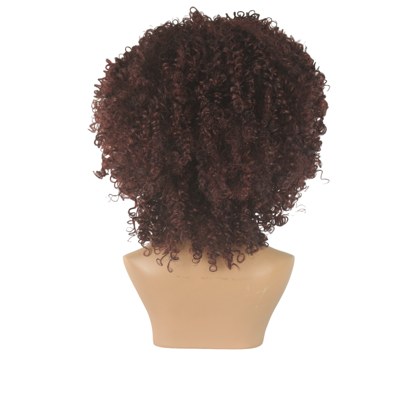 Dandara Synthetic Curly Wig