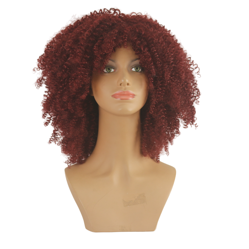 Dandara Synthetic Curly Wig
