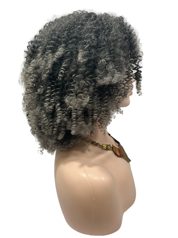 Dandara Synthetic Curly Wig
