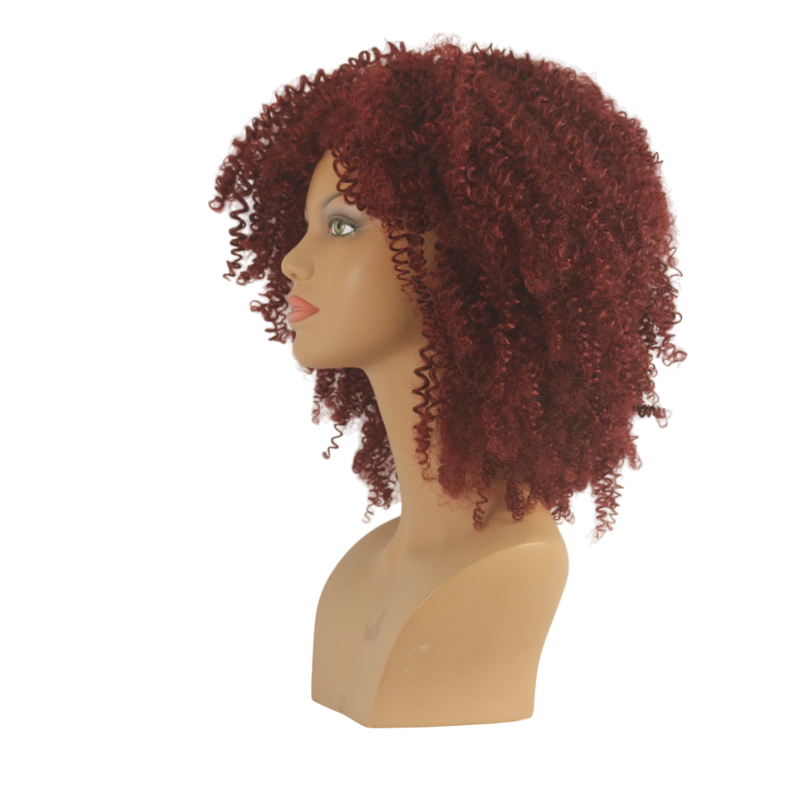 Dandara Synthetic Curly Wig