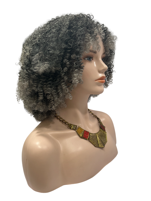 Dandara Synthetic Curly Wig