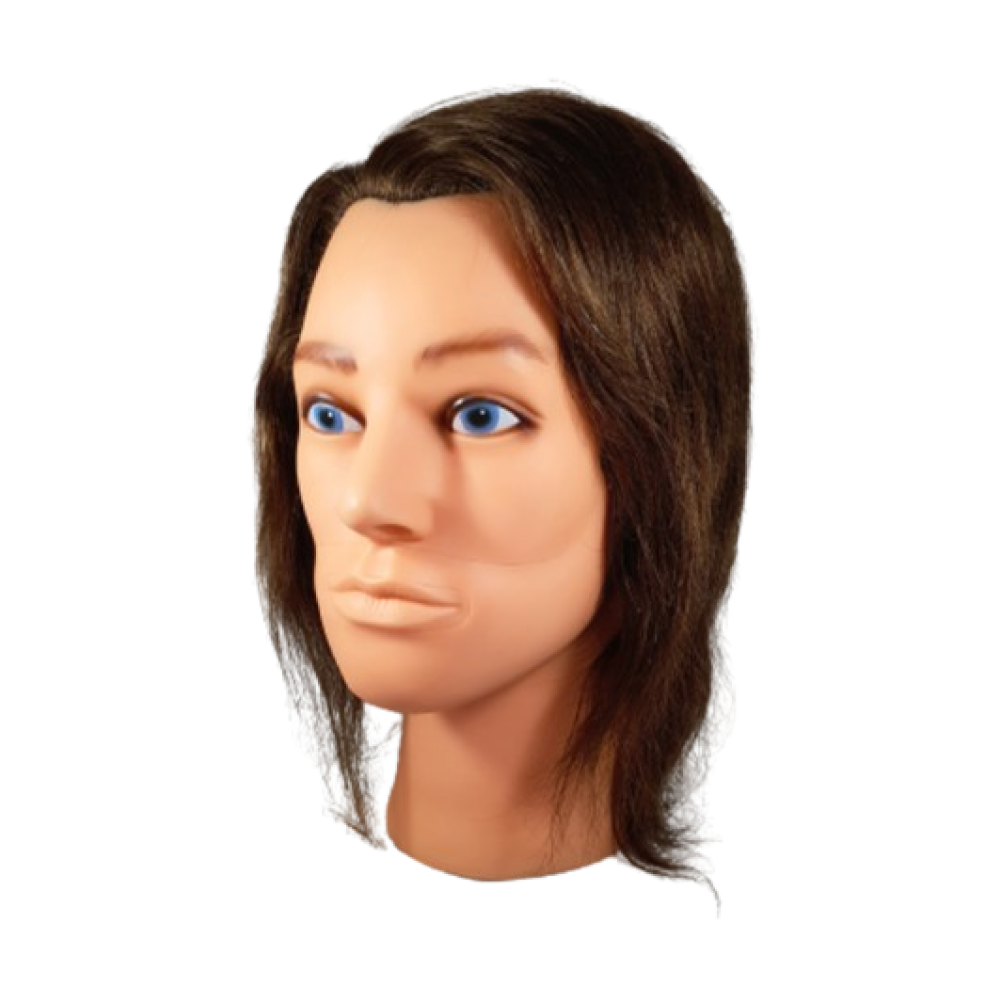 Natural Male Mannequin Without Beard