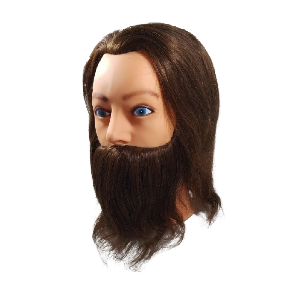 Male Training Mannequin with 100% Natural Beard