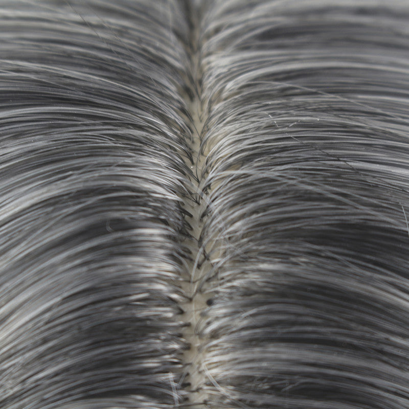 Lady Long Synthetic Wig with Silver Highlights #2/0906