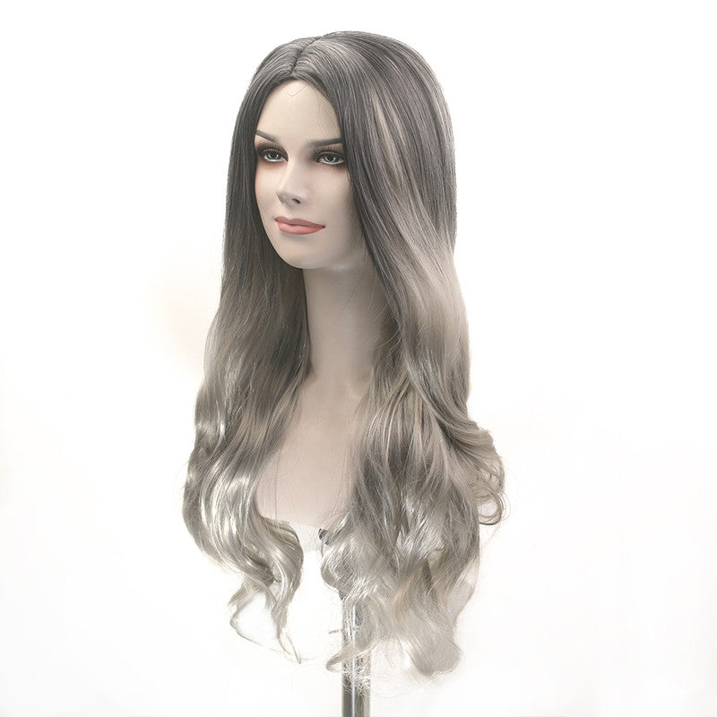 Lady Long Synthetic Wig with Silver Highlights #2/0906
